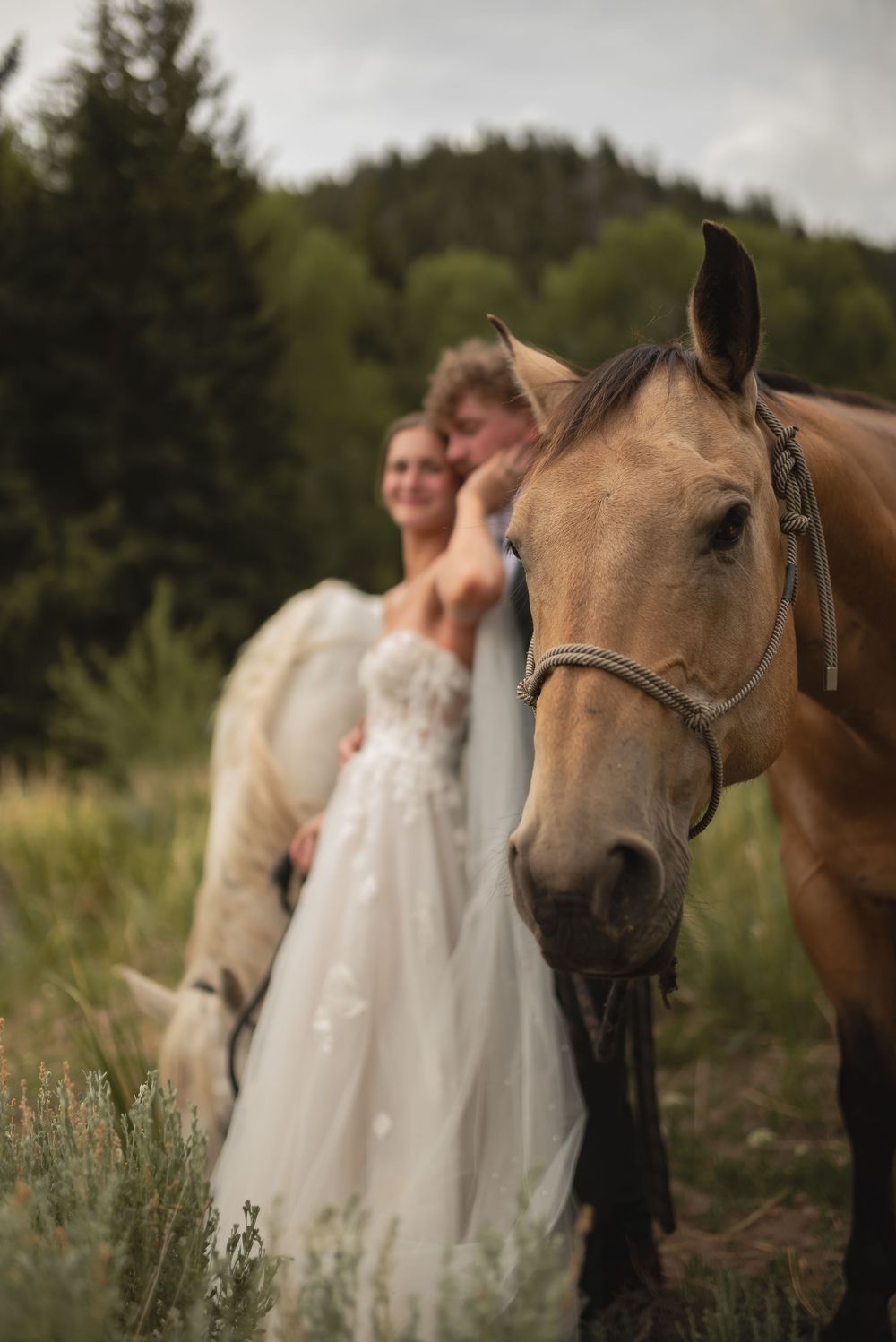 A romantic outdoor wedding photoshoot featuring a couple and a beautiful brown horse in a natural field setting.