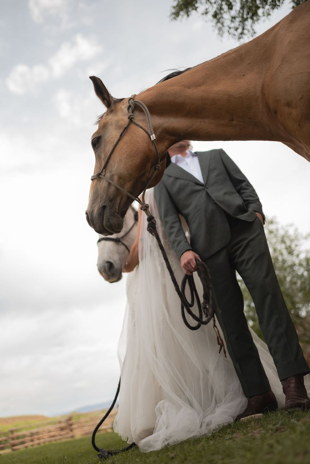 A romantic wedding photo series showing a horse interacting with a bride's white dress and groom in a suit outdoors.