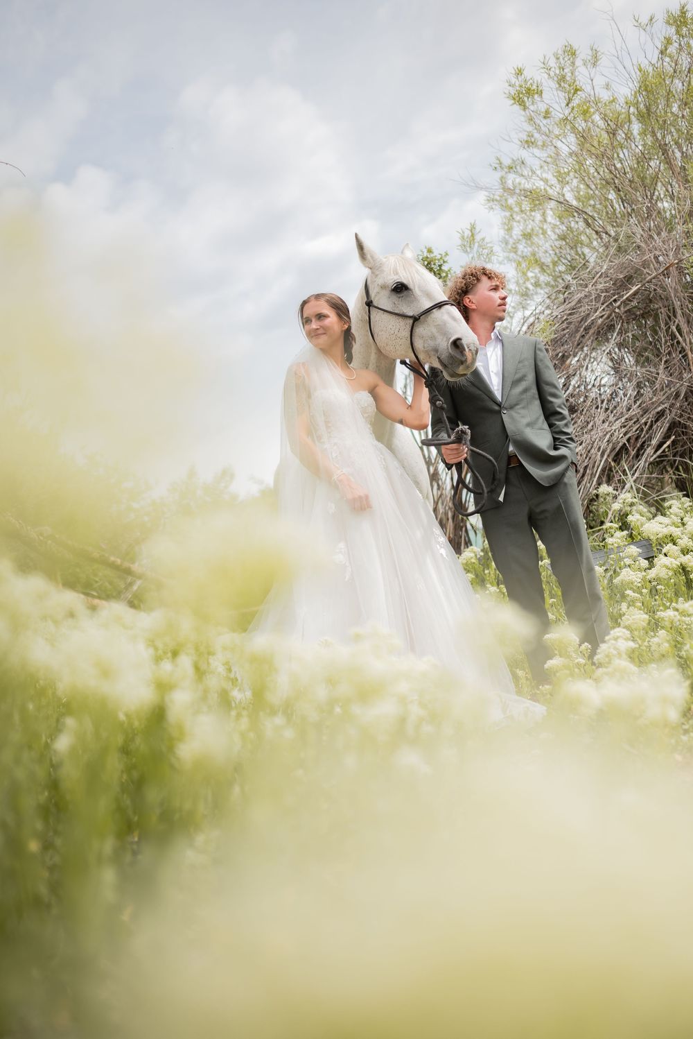 A dreamy wedding portrait captured through wild grasses with mountains in the background.