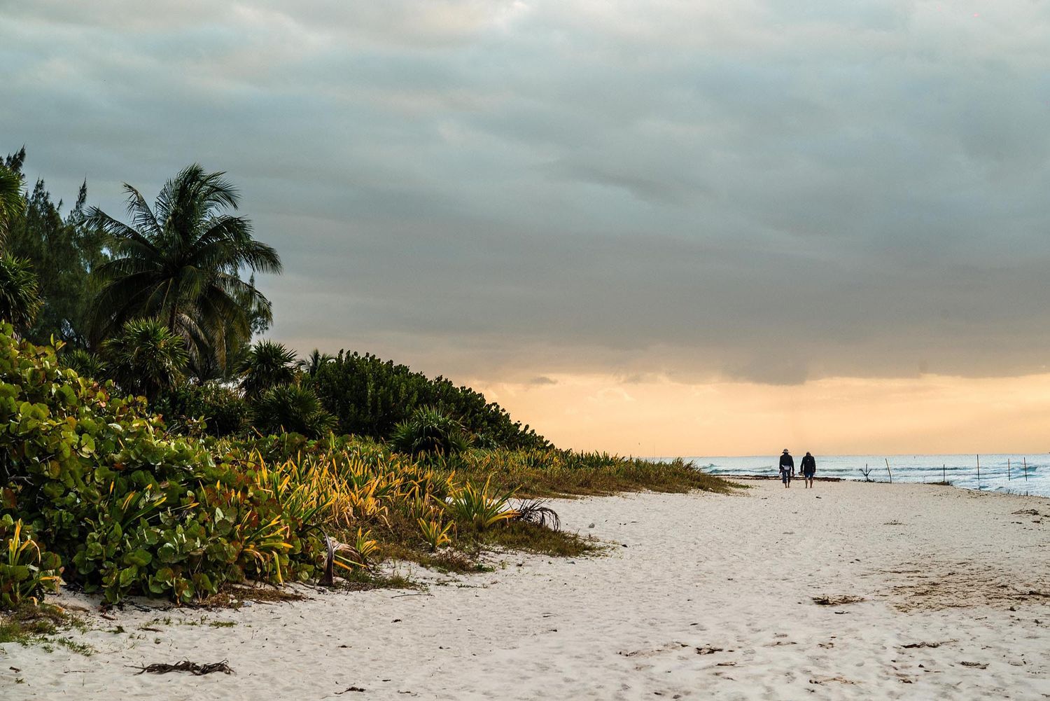 A panoramic view of a tropical beach at sunset with palm trees and soft sand stretching along the shoreline.