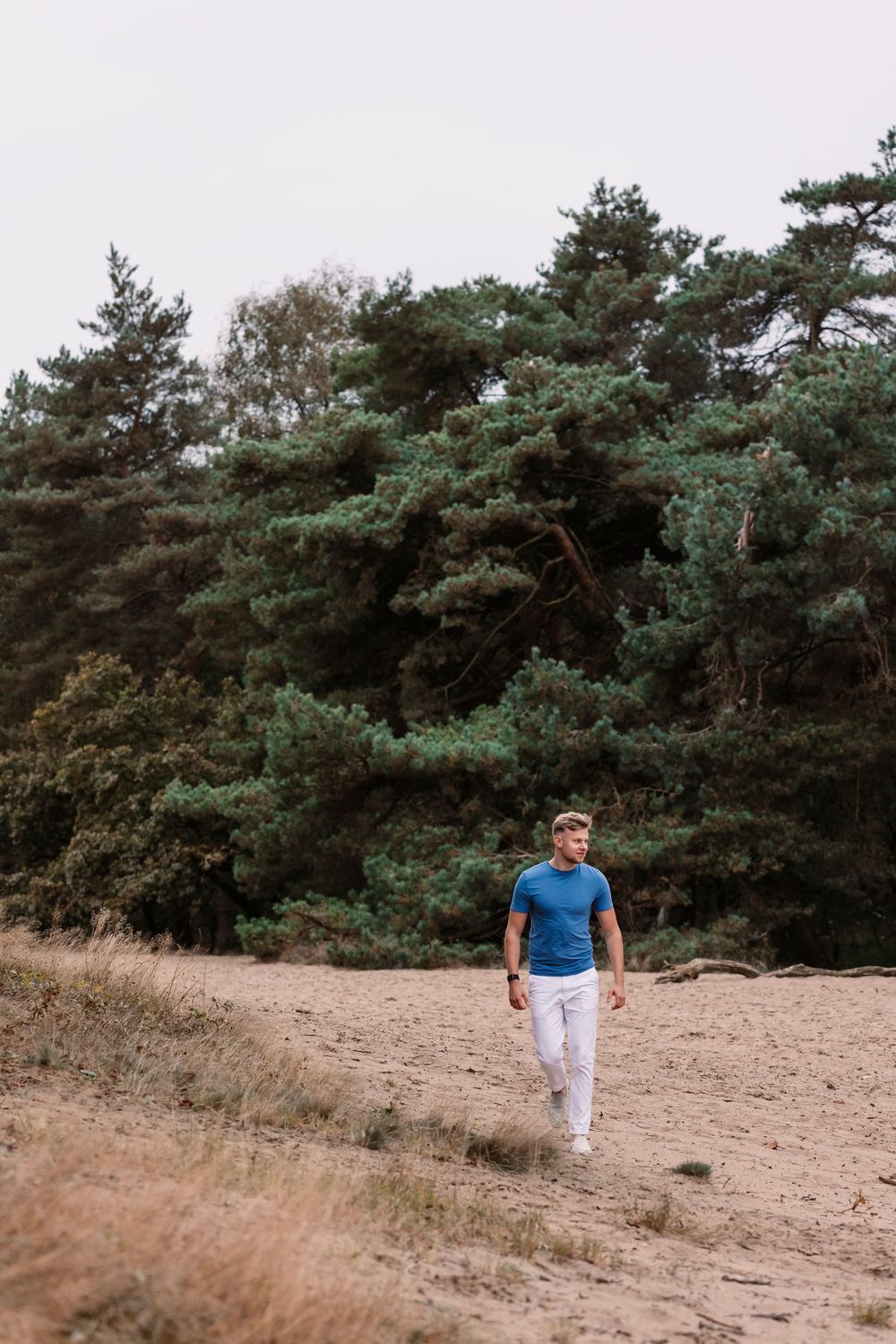 Figure walking along sandy path with pine trees in background.