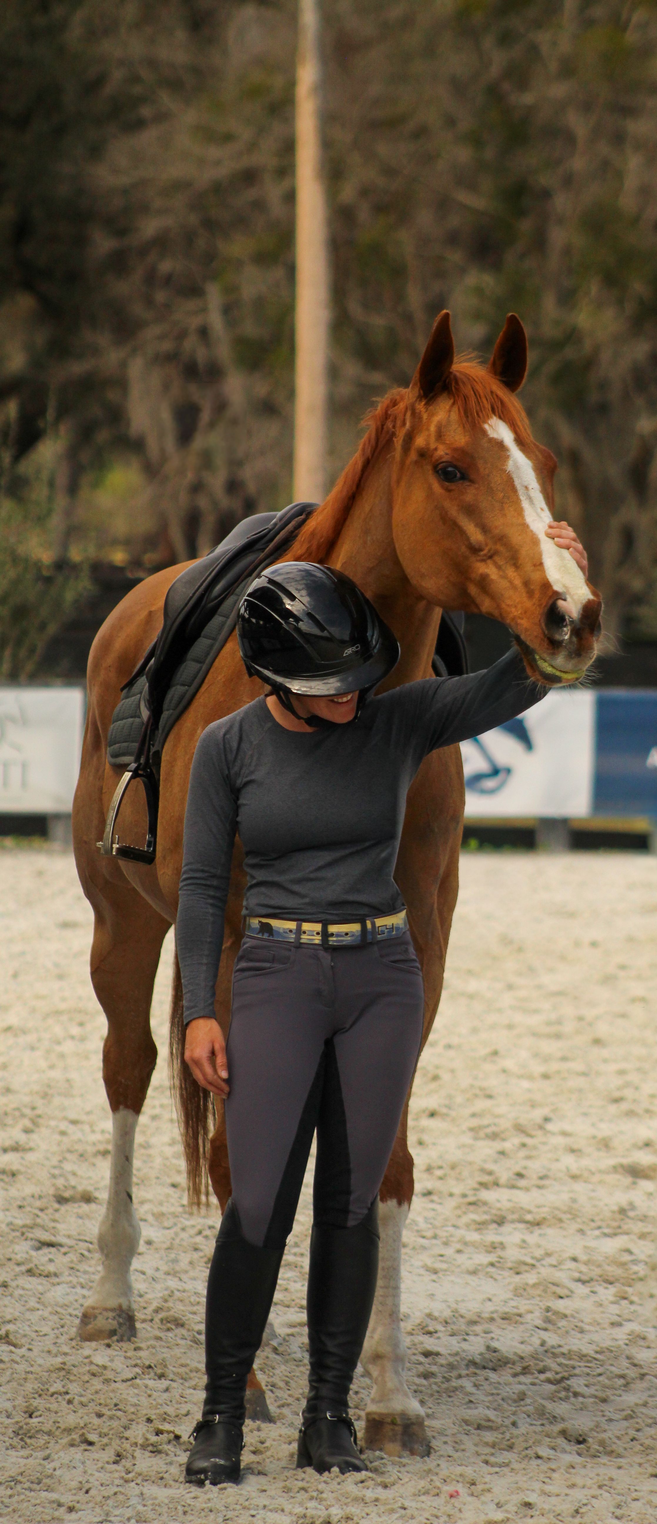 Halterless Horse