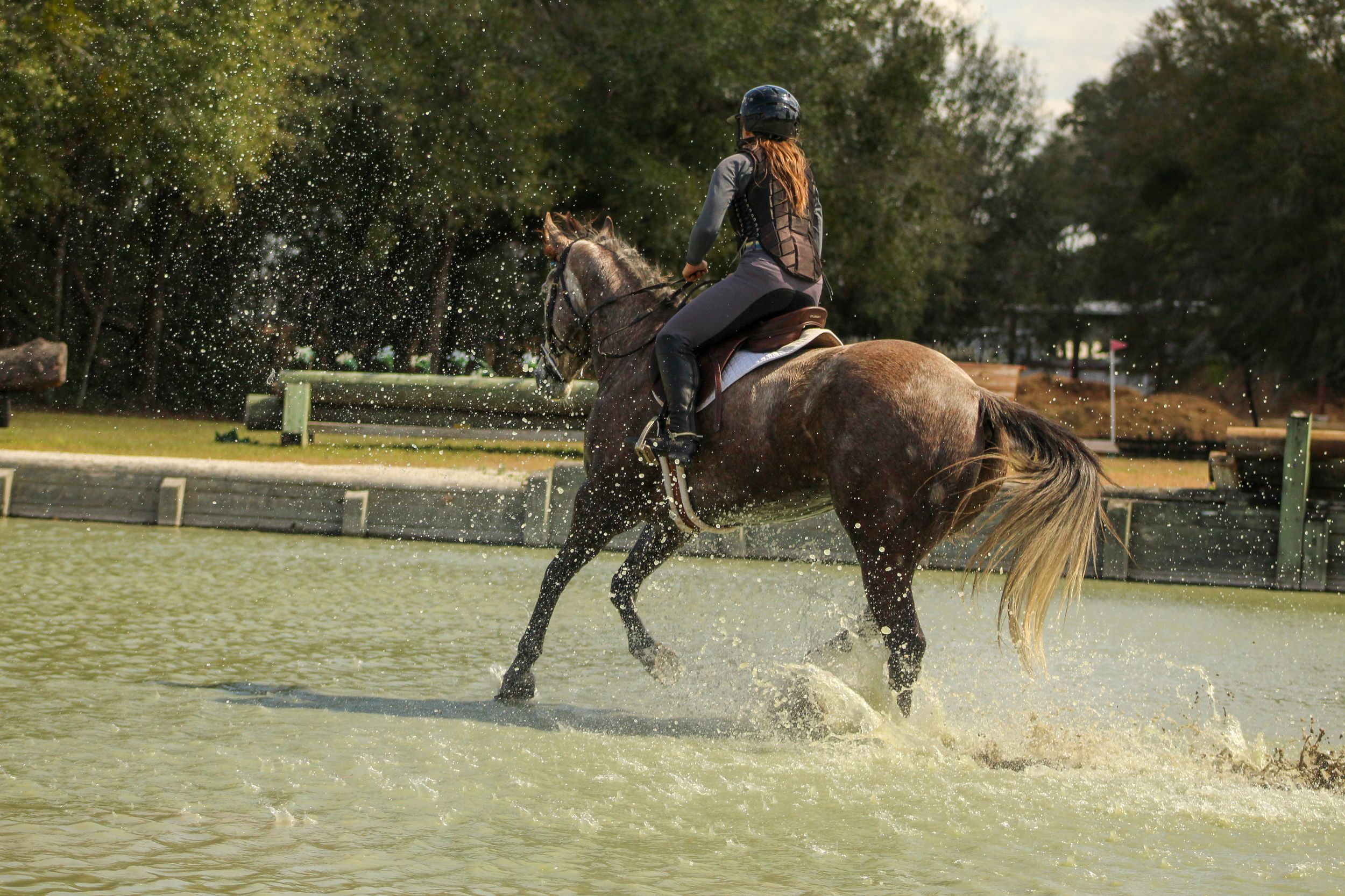 Horse cantering through water