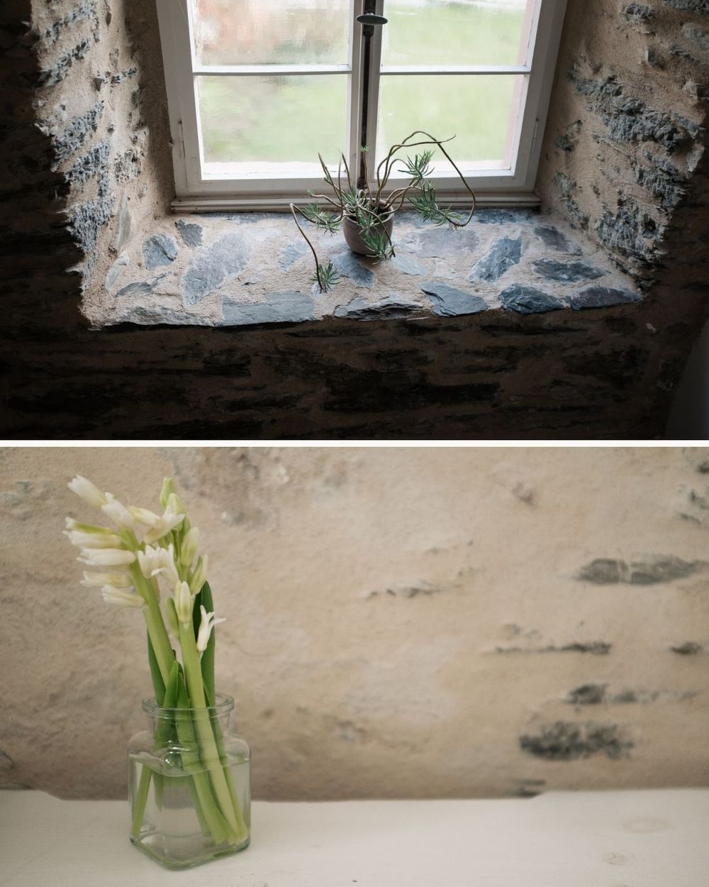 A row of glass vases with celery stalks arranged on a white windowsill against a distressed wall with blue details.