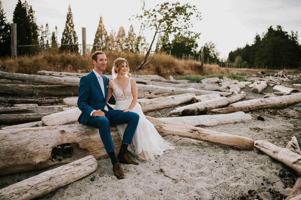 Bride and groom sitting on driftwood with golden grass in the background, wedding photography of couple on Williams Beach