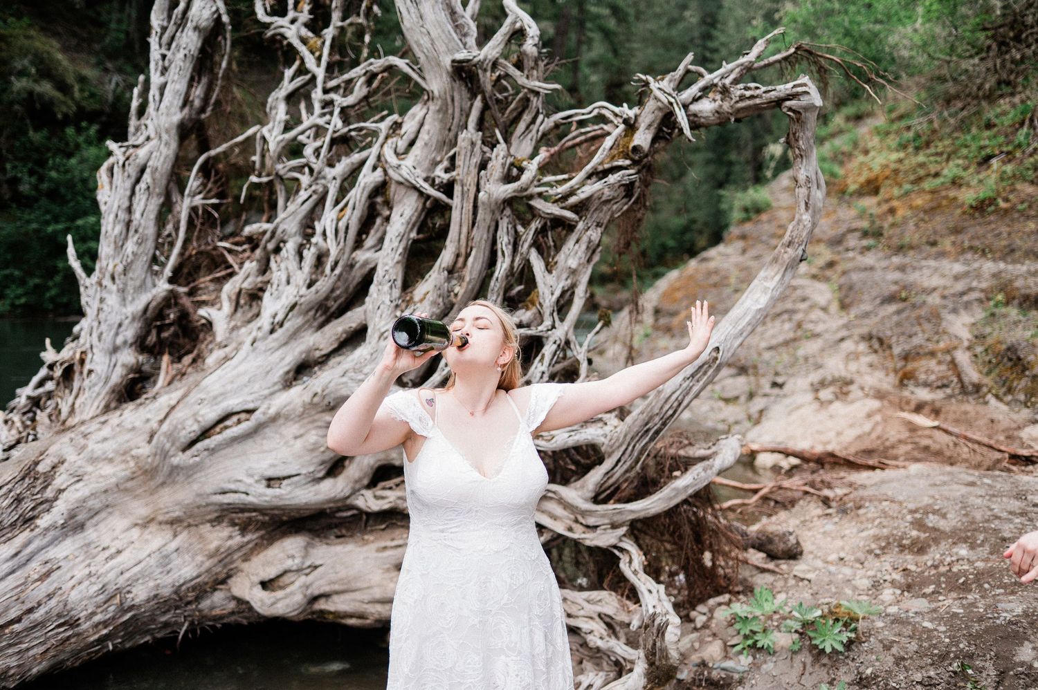 A bride poses among twisted driftwood branches while drinking from a champagne bottle