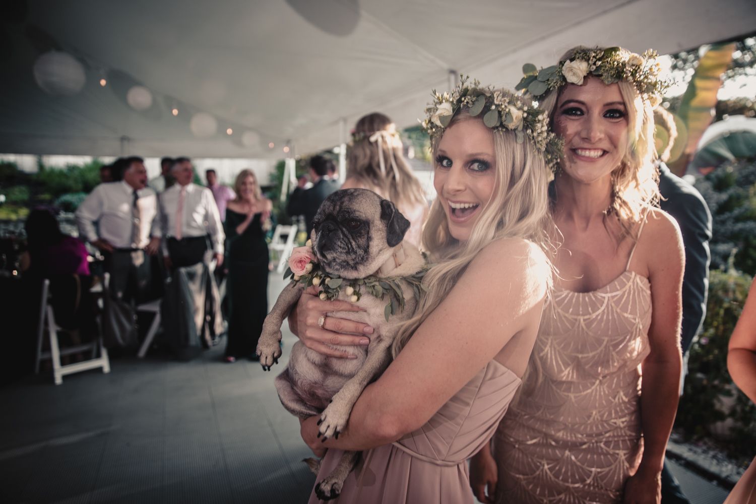 Two bridesmaids in blush dresses pose with a French Bulldog wearing a floral collar at an outdoor wedding reception.