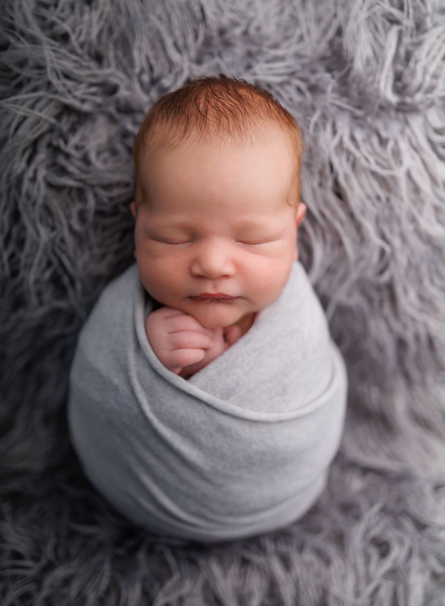 A photo of a newborn baby boy swaddled in light gray wrap against textured gray fur background in artistic portrait series.