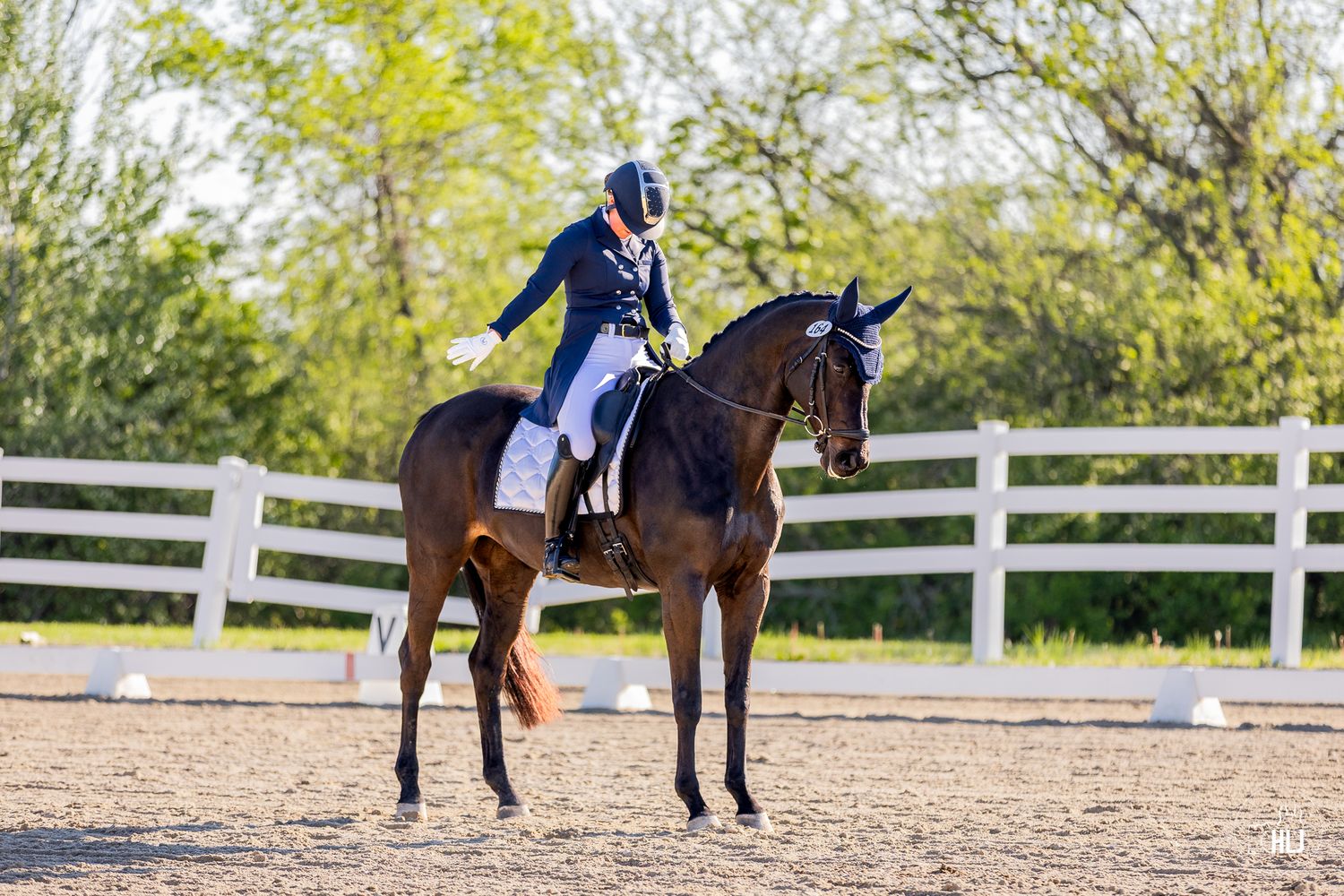 Equestrian rider in blue jacket and helmet performing dressage on a bay horse in a white-fenced arena.