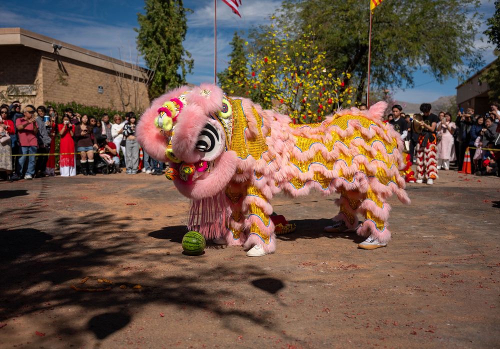 Pink lion dancer staring down a whole watermelon during a Tet celebration at Our Lady of La Vang in Tucson, by N&D Media.