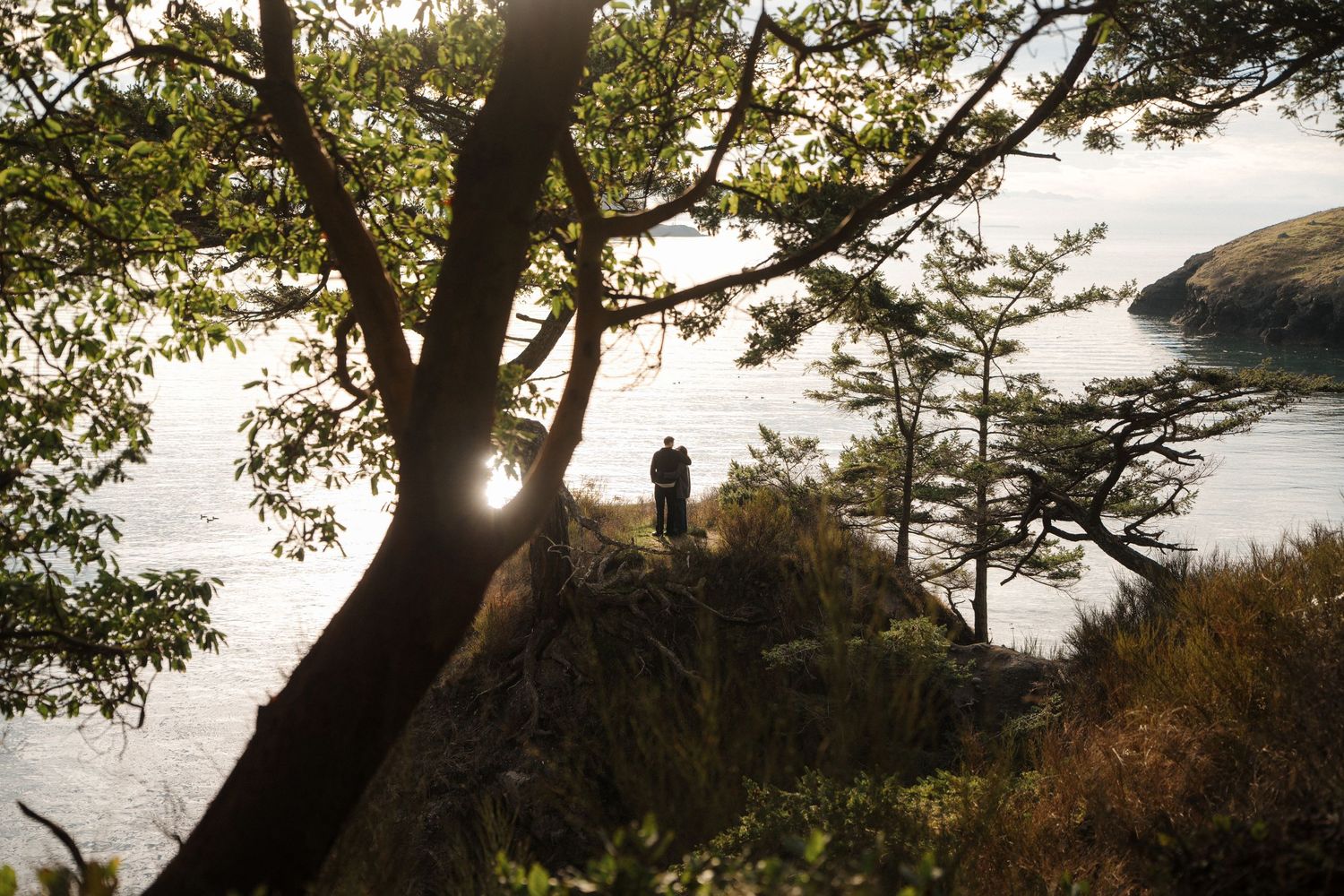 Scenic coastal forest view with sunlight filtering through trees and rocky shoreline along calm waters.