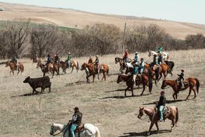 Group of riders on horseback moving across open prairie landscape.