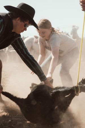 Ranch workers handling cattle during a dusty day of work.