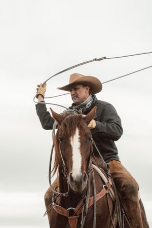 Rider on horse with blaze face holds lasso against cloudy sky.