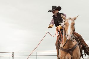 Rider on paint horse holding reins against white background in arena setting.