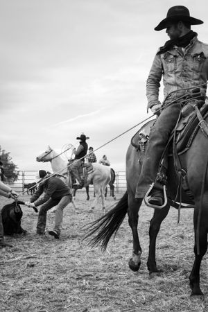 Cowboys on horseback practicing roping techniques in a dusty arena.