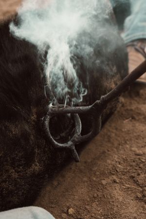 Steam rises from a hot branding iron against a dark background.