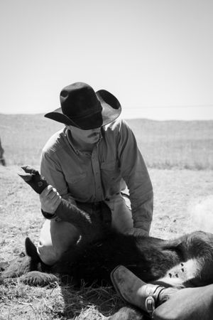 Rancher in cowboy hat tends to livestock on open range in black and white photo.
