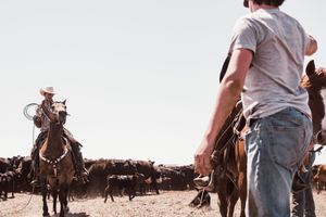 Cowboys on horseback working with cattle herd in desert landscape.