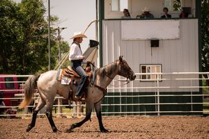 A rider on a roan horse practices roping skills in a dirt arena with white fence panels.