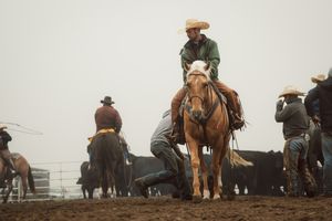 Cowboys on horseback herd cattle in misty conditions during a western ranch roundup operation.