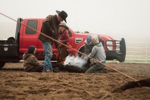 Multiple views of trucks stuck in muddy terrain with people working on digging them out during difficult off-road conditions.