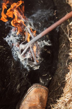 A leather boot stands next to a burning torch with vibrant orange flames and swirling smoke against a dark background.