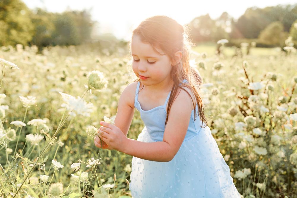 Child in a blue dress exploring wildflowers in a sunlit meadow during golden hour.