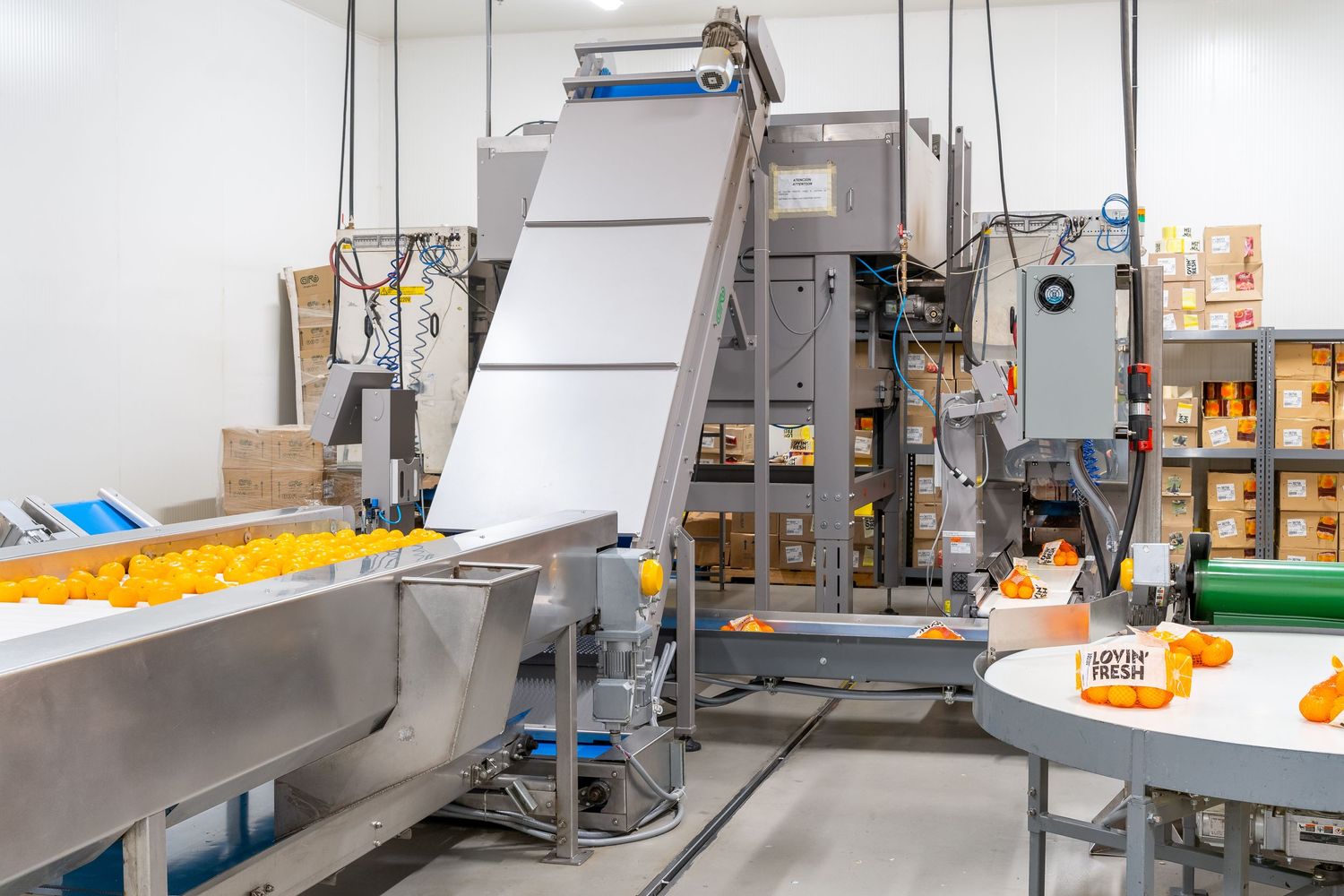 Industrial food processing equipment and machinery in a clean manufacturing facility.