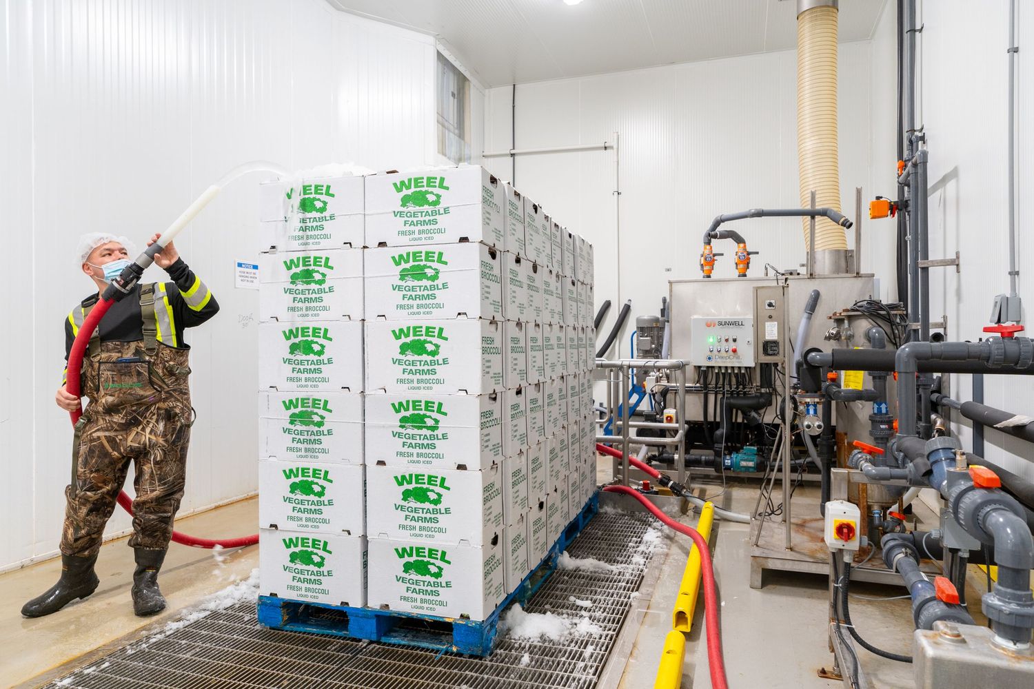 Storage area with stacked plastic crates and industrial equipment in a temperature-controlled facility.