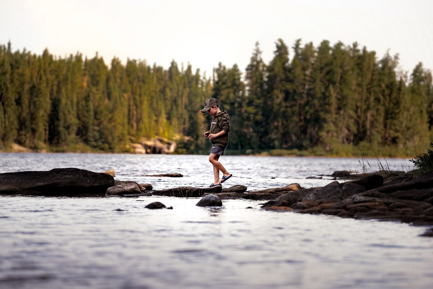 Silhouettes of water skiers gliding across a lake with pine trees in the background.