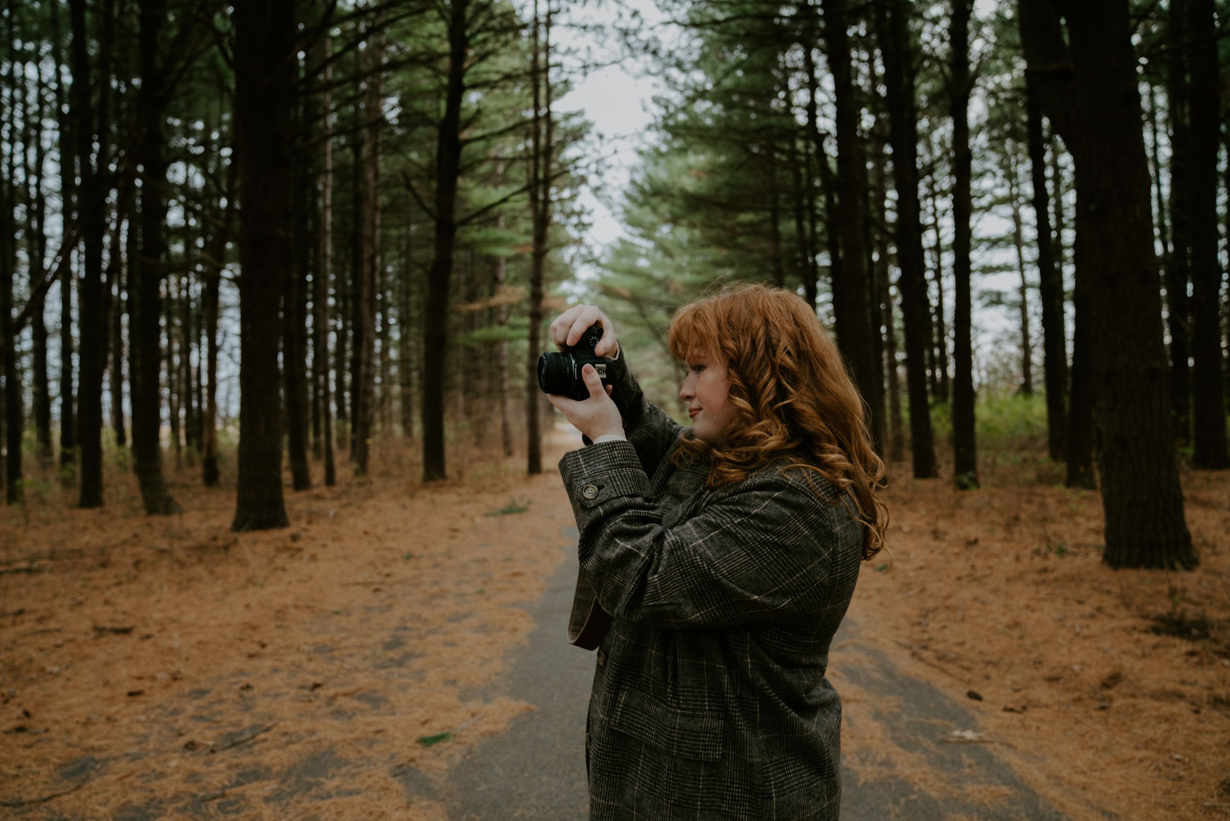 Pine forest photography session with tall trees creating a moody atmosphere.