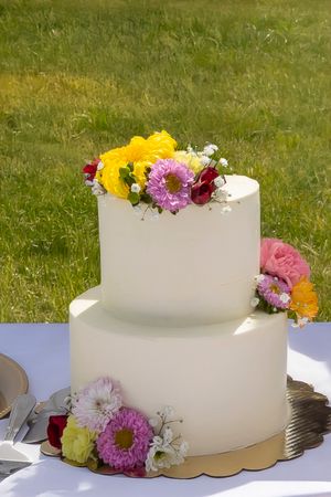 Spring inspired 2-tiered wedding cake with wildflowers at Garman Hill Wilder, Idaho