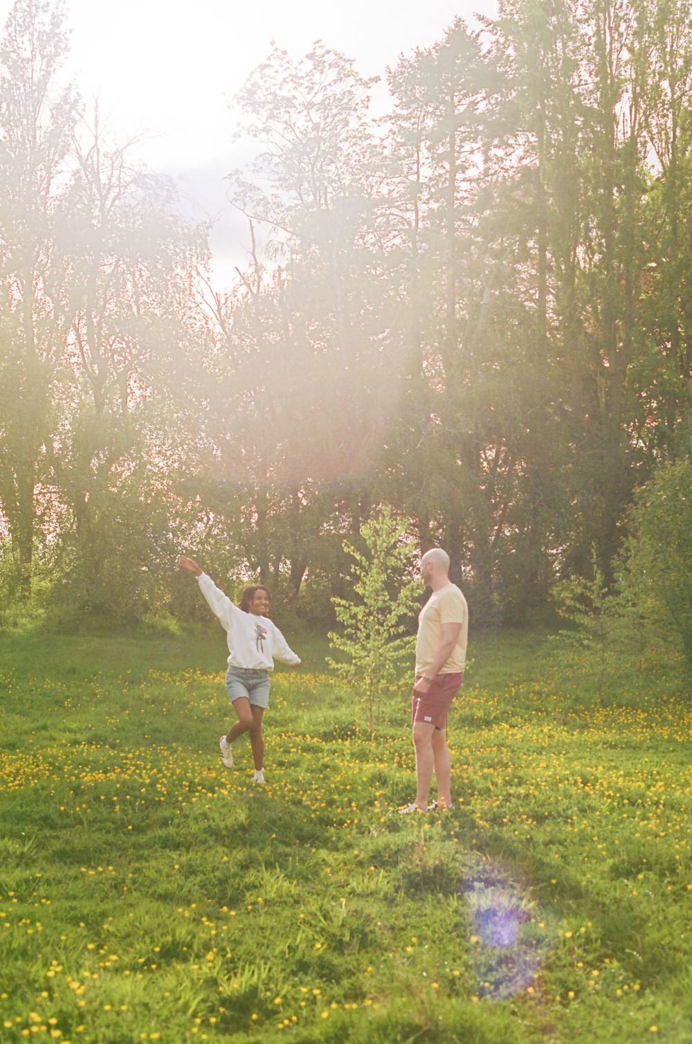 People enjoying a sunny day in a meadow filled with yellow wildflowers and tall trees.