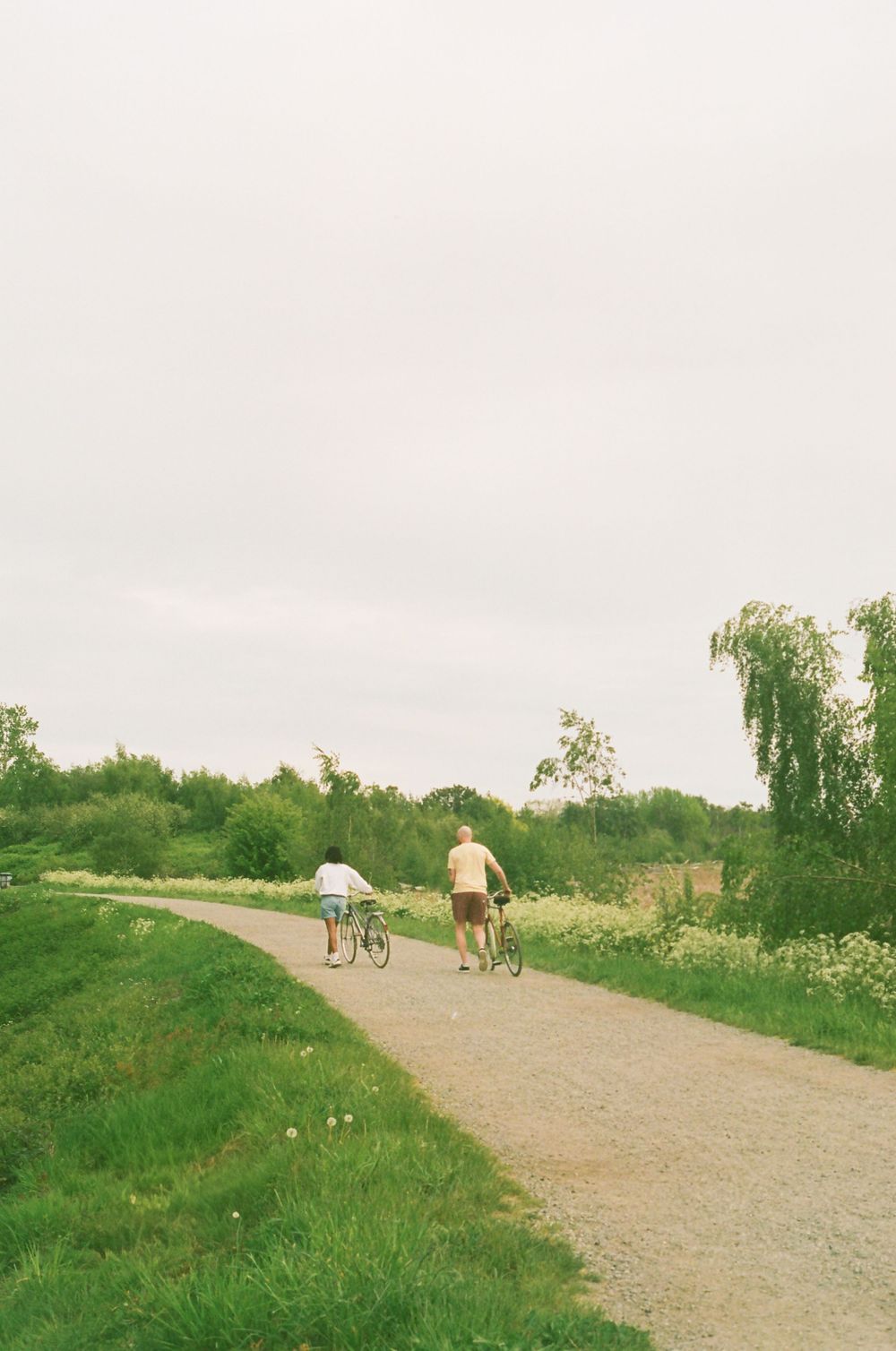 Cyclists traveling down a rural gravel path surrounded by lush green grass.