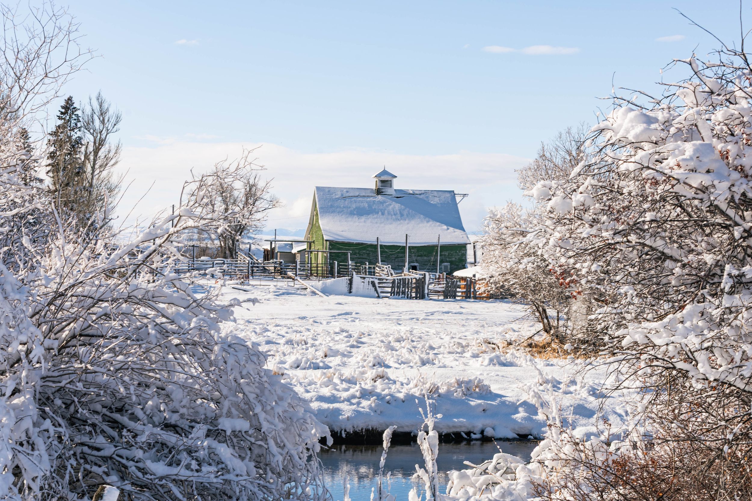 A panoramic winter landscape shows snow-covered houses and trees under a bright blue sky.