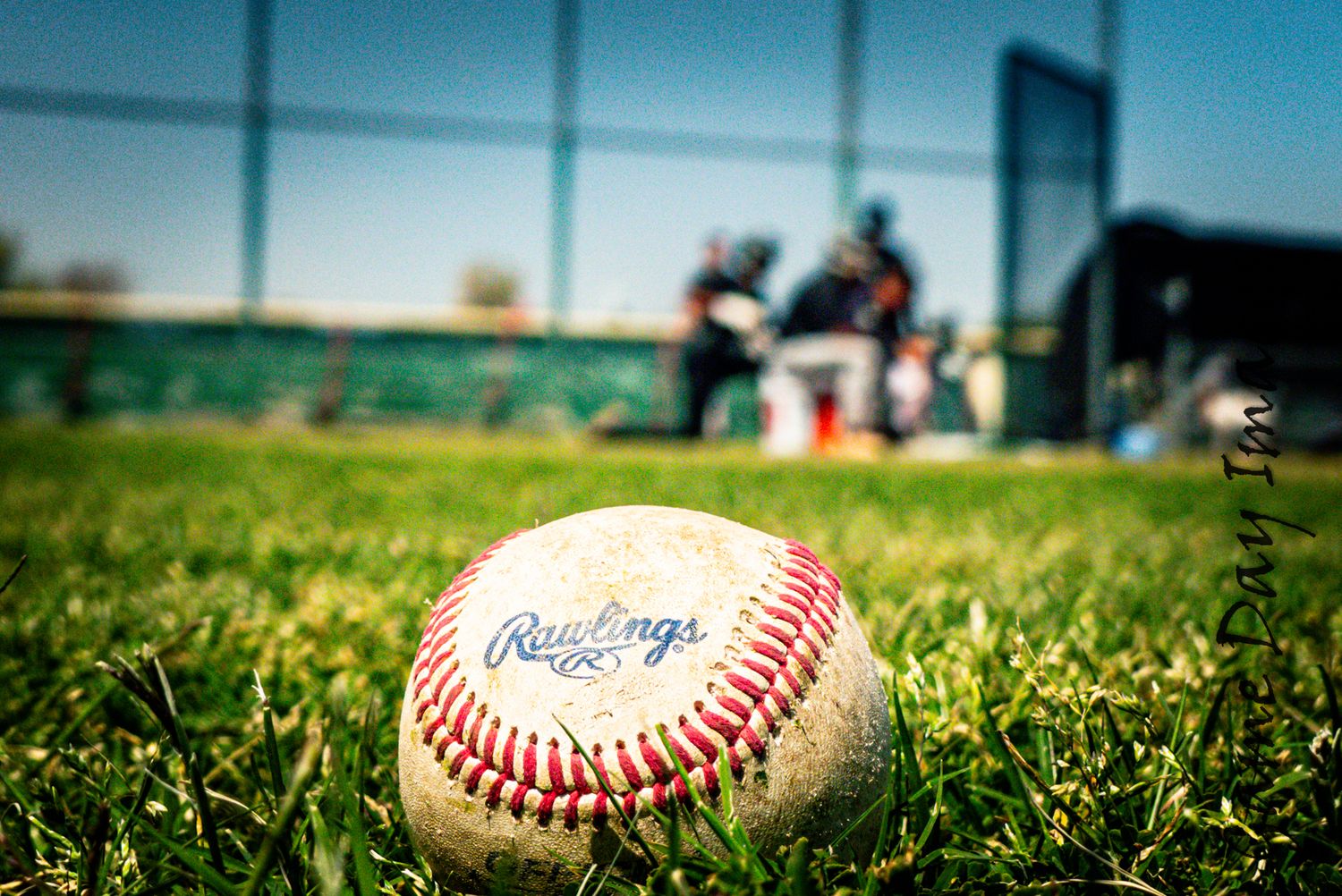 Yuma, High School Baseball