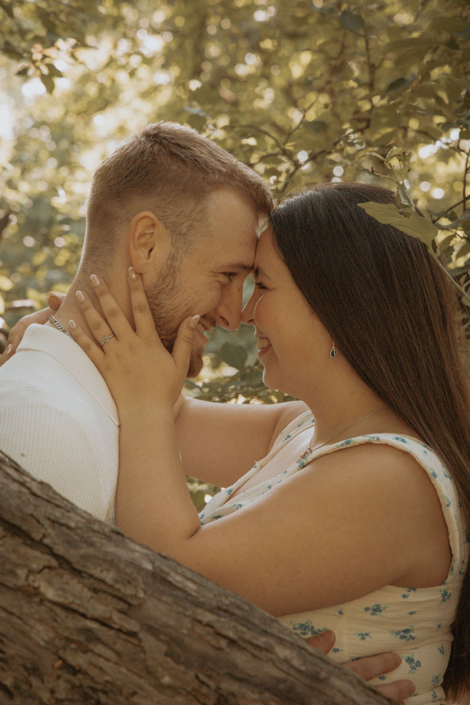 Intimate moment between couple captured in golden sunlight through tree leaves.