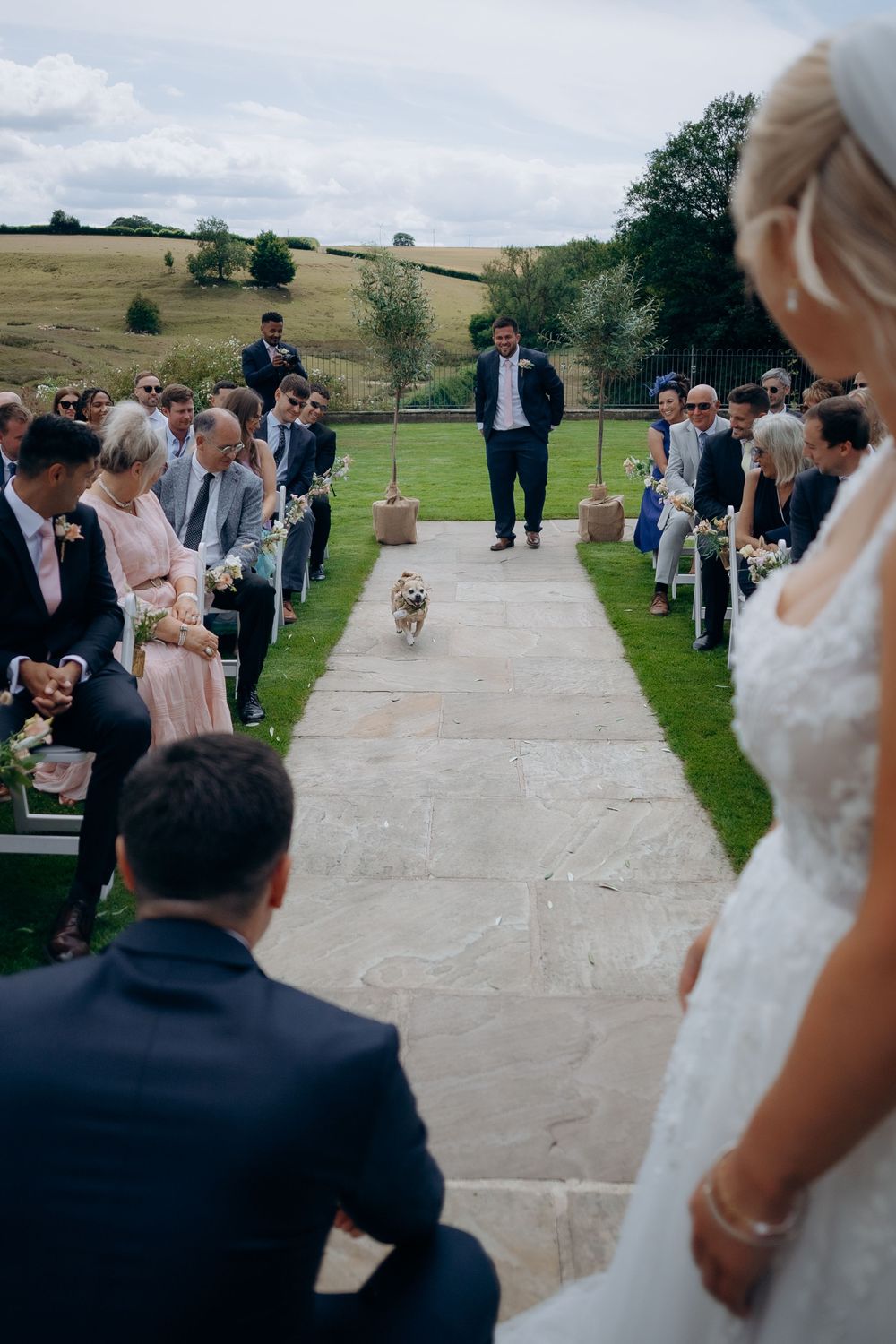 A small dog walks down an outdoor aisle during a countryside wedding ceremony with rolling hills in the background.
