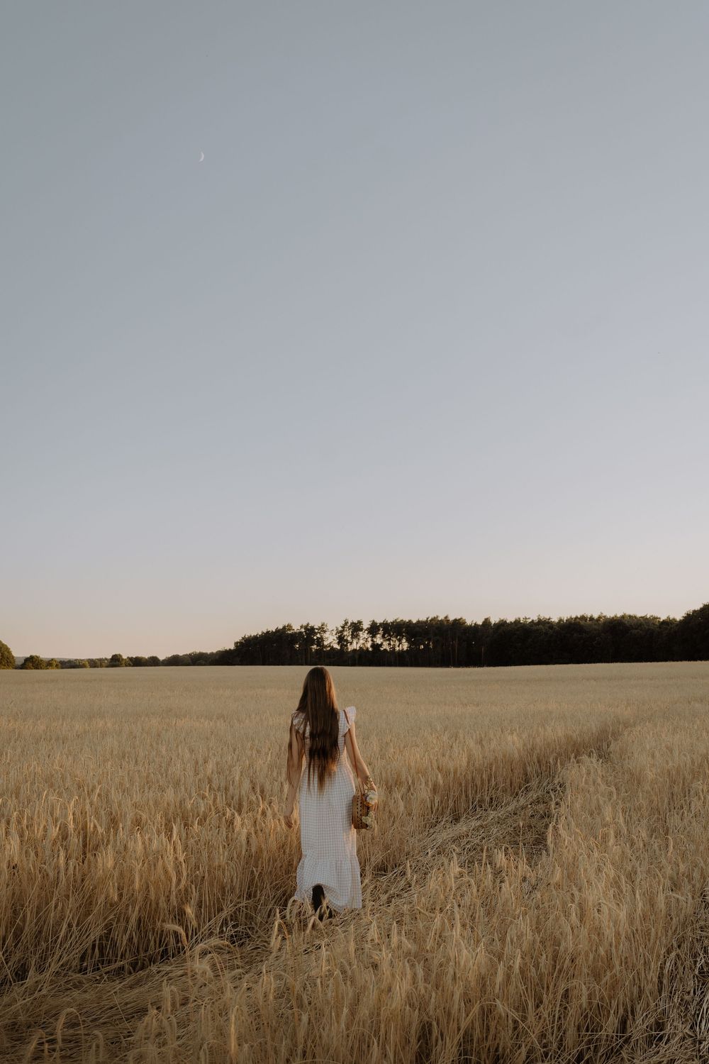 Four hazy wheat field landscape photos at sunset show silhouettes walking through golden stalks.