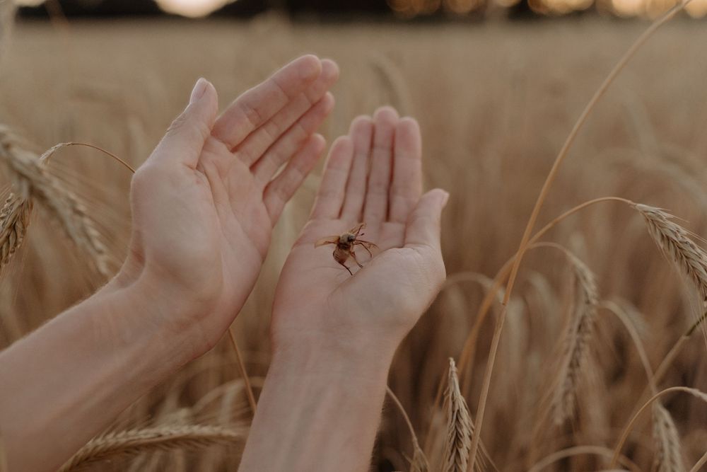 Multiple hands held up side by side against a warm neutral background, demonstrating an emotional gesture.