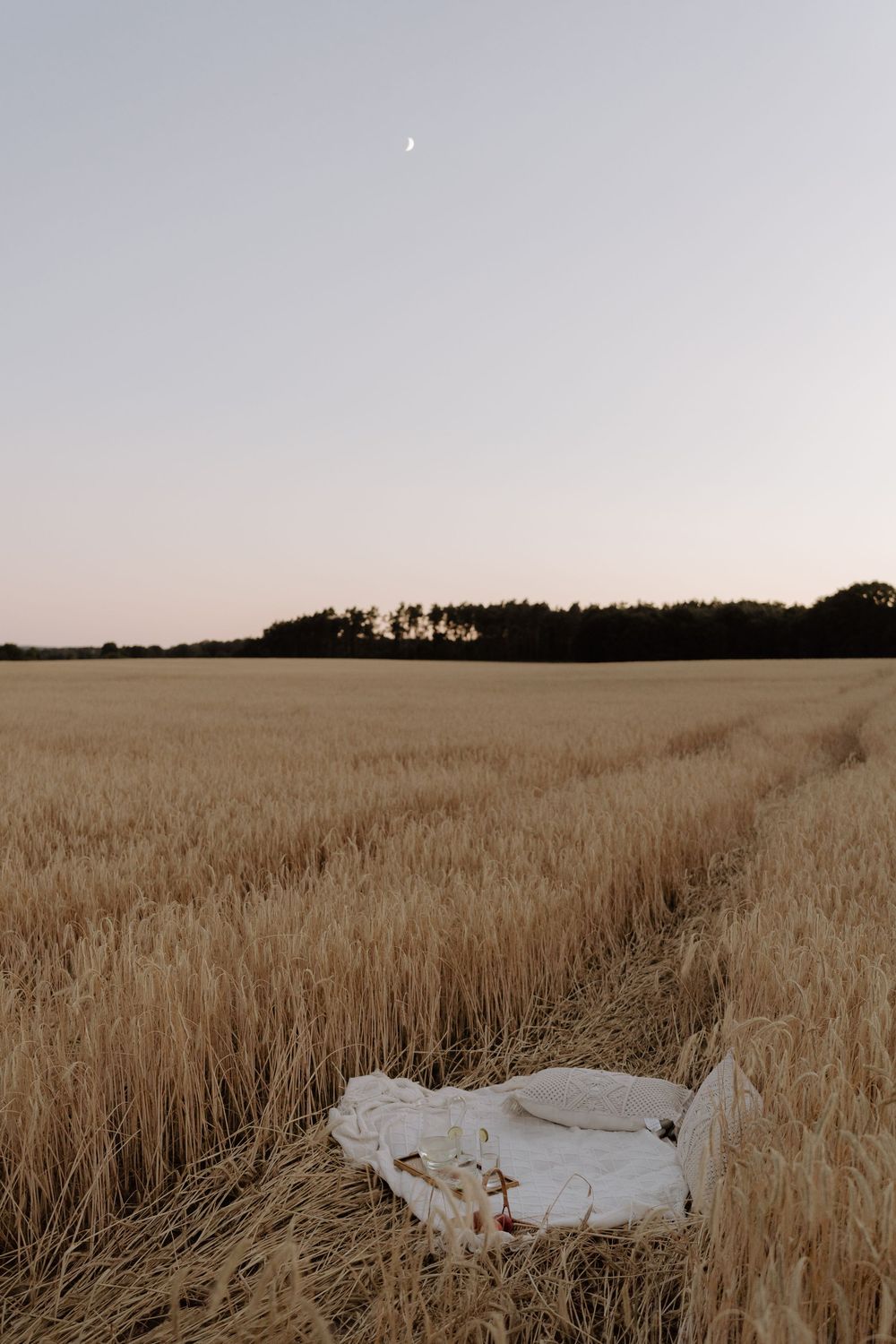 A white mattress or bed lies abandoned in a golden wheat field at dusk with silhouetted trees on the horizon.
