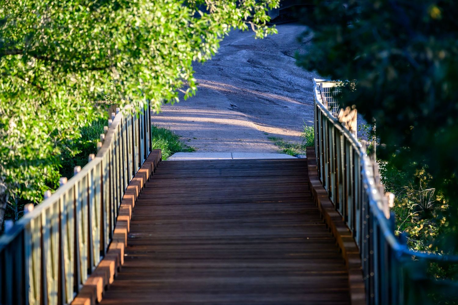 Wooden boardwalk with metal railings leading through lush green trees on a sunny day.