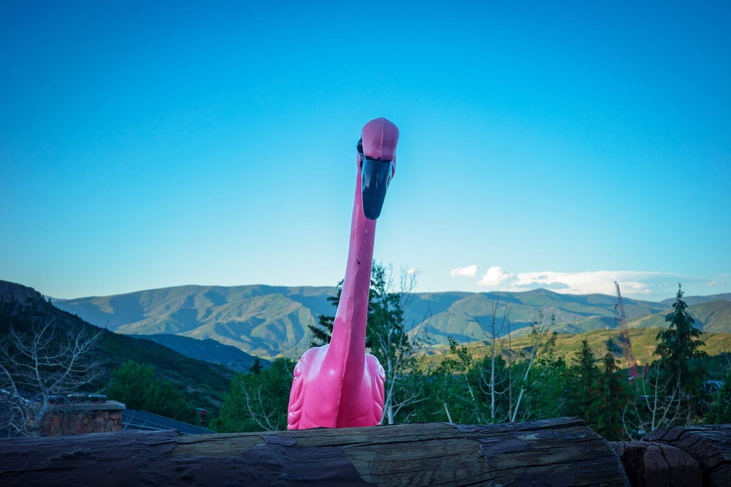 A pink plastic flamingo decoration perched on a log with scenic mountain views behind it.