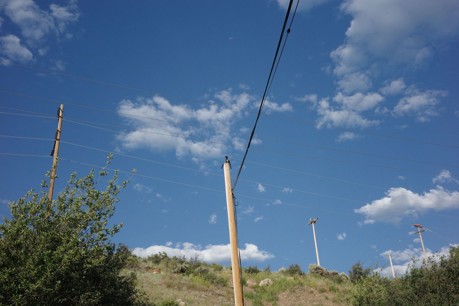 Wooden utility poles with power lines stretching across a blue sky with white clouds.