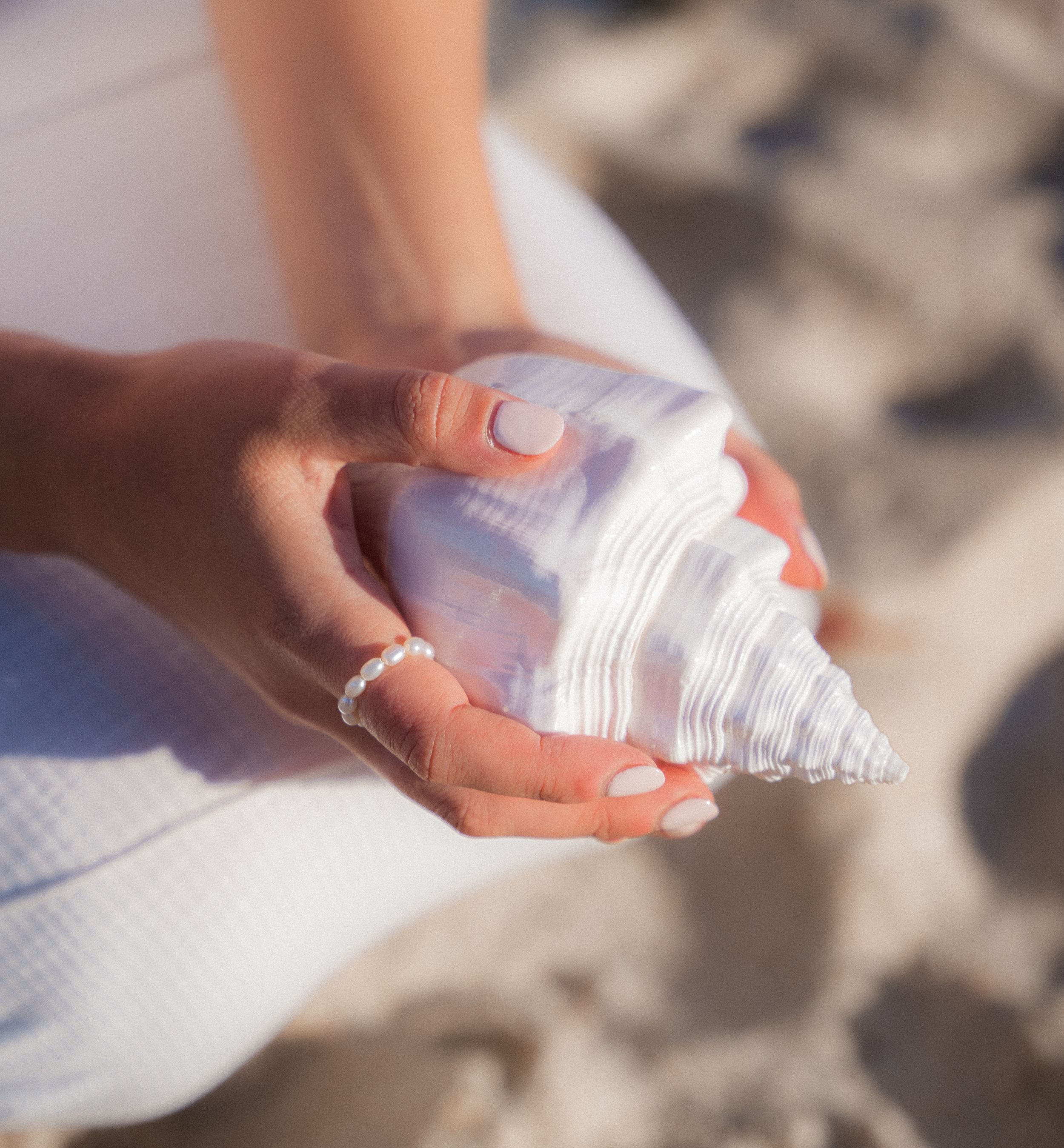 Hand holding a large white seashell against a blurred beach background.