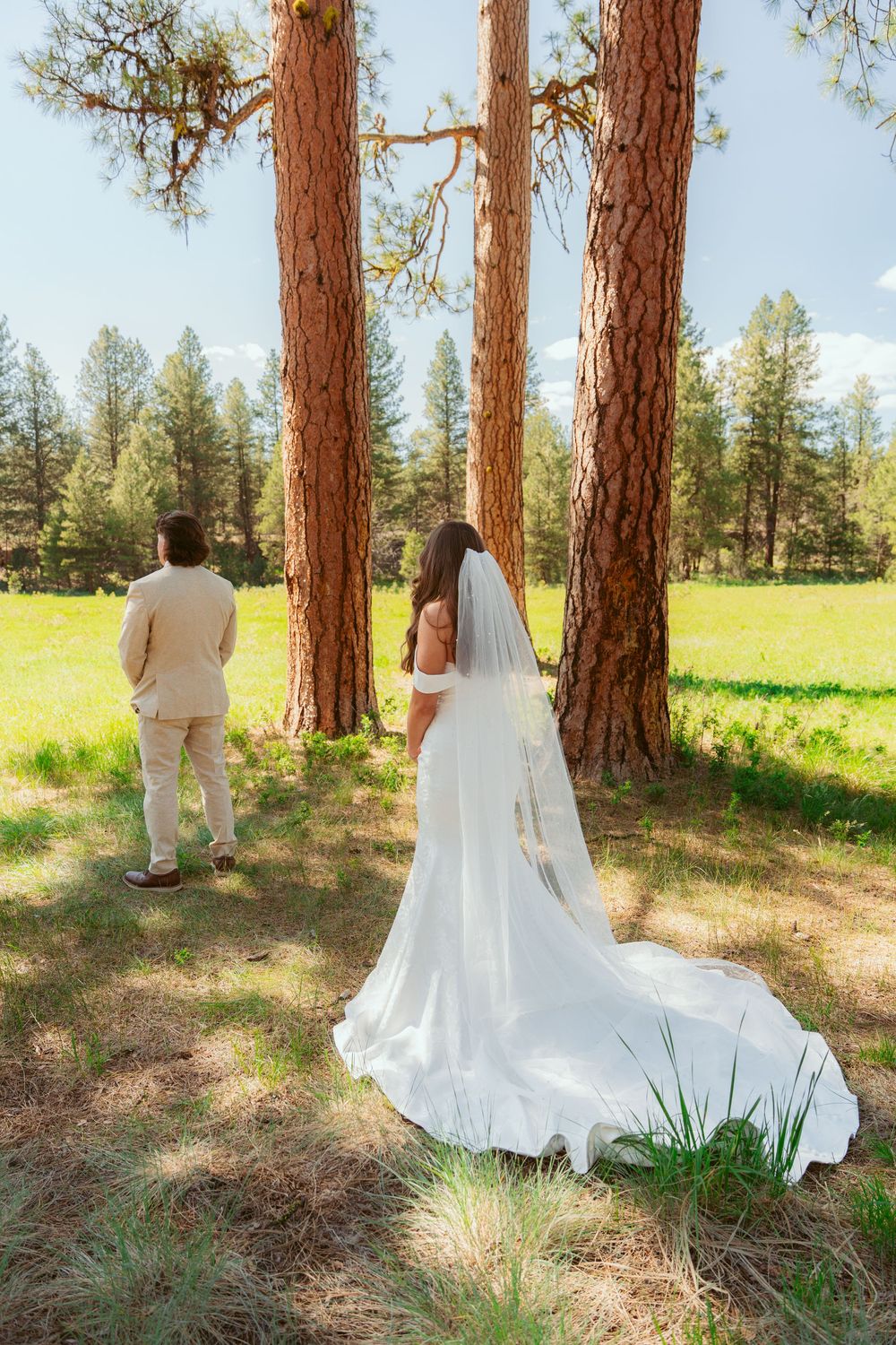 A couple in wedding attire standing among tall pine trees in a sunlit meadow during an outdoor forest ceremony.