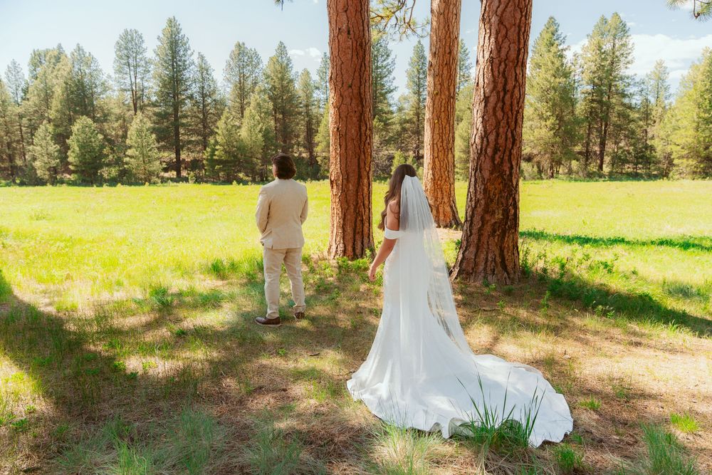 A couple in wedding attire stand between tall pine trees in a sunlit meadow on their special day.