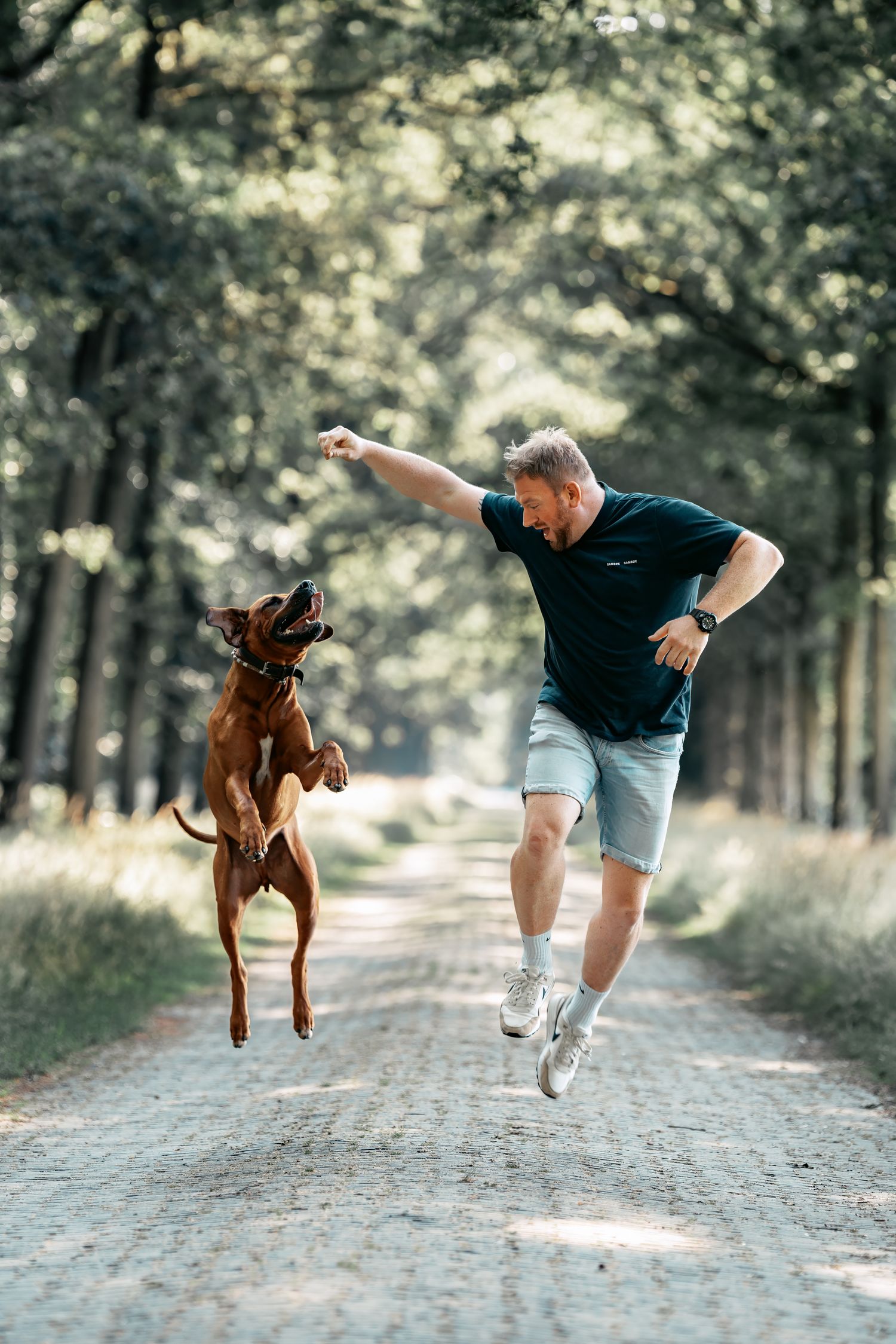 A person in a black shirt and shorts jumps playfully with their brown dog on a tree-lined path in the forest.