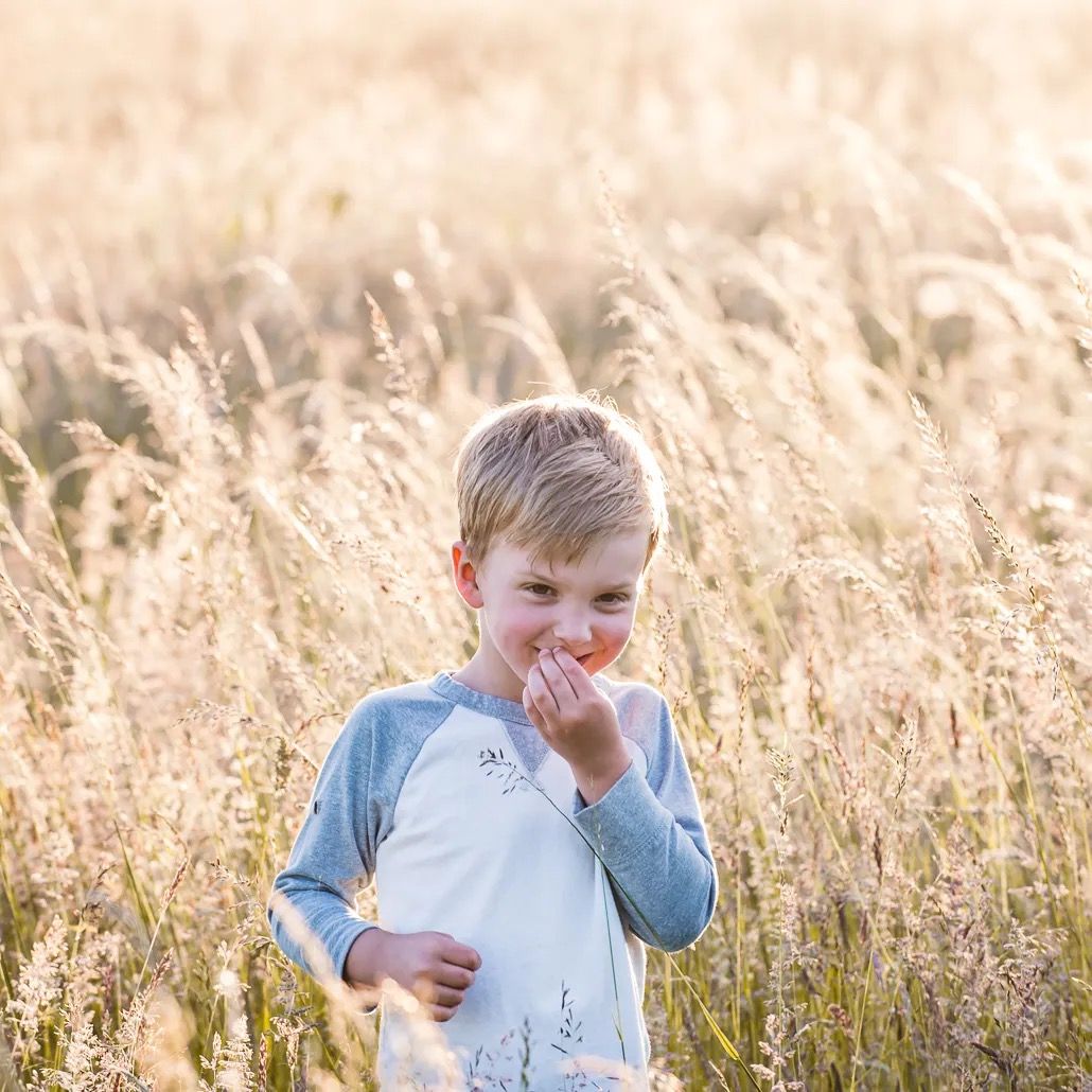 Young boy standing in a golden wheat field in soft evening light.